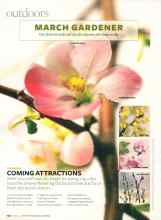 Better Homes & Gardens March 2007 Magazine Article: COMING ATTRACTIONS