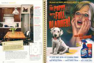 Better Homes & Gardens March 2007 Magazine Article: Page 98