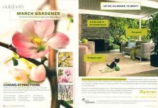 Better Homes & Gardens March 2007 Magazine Article: Page 120