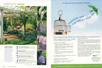 Better Homes & Gardens March 2007 Magazine Article: Page 128