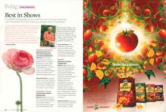 Better Homes & Gardens March 2007 Magazine Article: Page 142