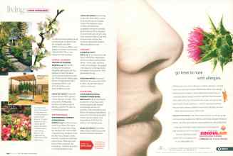 Better Homes & Gardens March 2007 Magazine Article: Page 144