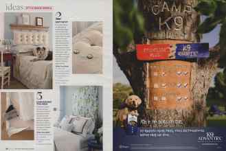 Better Homes & Gardens April 2007 Magazine Article: Page 38