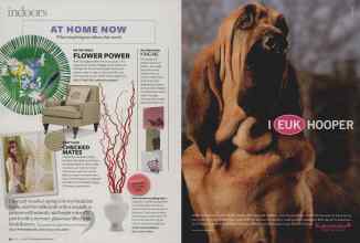 Better Homes & Gardens April 2007 Magazine Article: Page 54