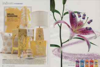 Better Homes & Gardens April 2007 Magazine Article: Page 56