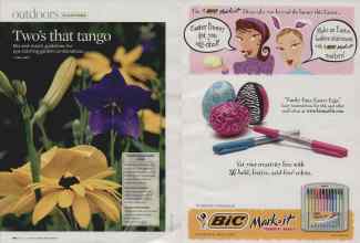 Better Homes & Gardens April 2007 Magazine Article: Page 100