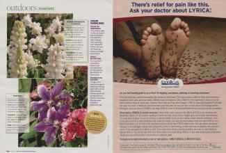 Better Homes & Gardens April 2007 Magazine Article: Page 104