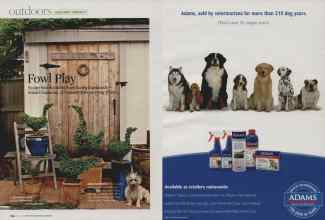 Better Homes & Gardens April 2007 Magazine Article: Page 124