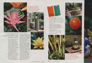 Better Homes & Gardens April 2007 Magazine Article: Page 185