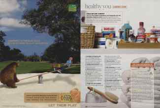 Better Homes & Gardens April 2007 Magazine Article: Page 249