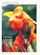 Better Homes & Gardens May 2007 Magazine Article: Drama Queens