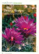 Better Homes & Gardens May 2007 Magazine Article: The Desert Blooms