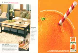 Better Homes & Gardens May 2007 Magazine Article: Page 38