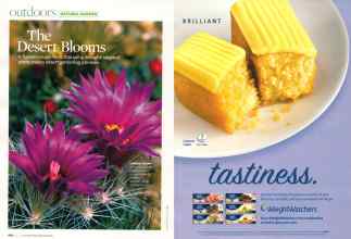 Better Homes & Gardens May 2007 Magazine Article: Page 166