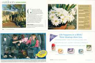 Better Homes & Gardens May 2007 Magazine Article: Page 168