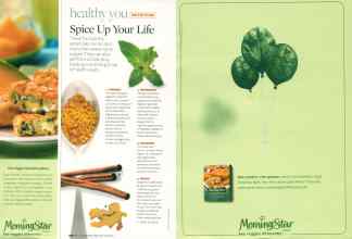 Better Homes & Gardens May 2007 Magazine Article: Page 292