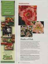 Better Homes & Gardens June 2007 Magazine Article: Shades of Pink