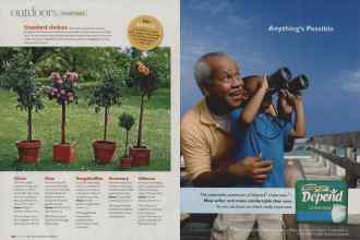 Better Homes & Gardens June 2007 Magazine Article: Page 150