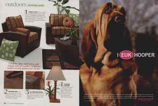 Better Homes & Gardens June 2007 Magazine Article: Page 164