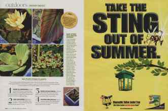 Better Homes & Gardens June 2007 Magazine Article: Page 170