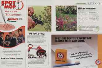 Better Homes & Gardens June 2007 Magazine Article: Page 180