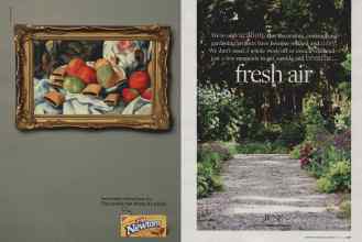 Better Homes & Gardens June 2007 Magazine Article: Page 220