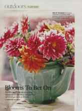 Better Homes & Gardens July 2007 Magazine Article: Blooms To Bet On