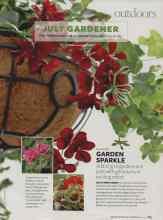 Better Homes & Gardens July 2007 Magazine Article: GARDEN SPARKLE