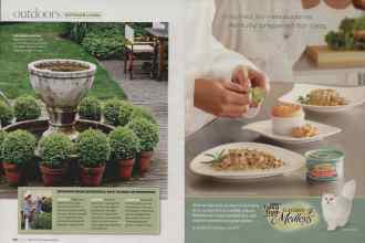 Better Homes & Gardens July 2007 Magazine Article: Page 106