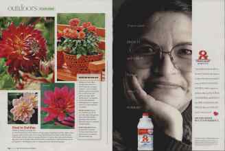 Better Homes & Gardens July 2007 Magazine Article: Page 114