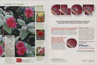 Better Homes & Gardens July 2007 Magazine Article: Page 118