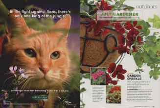 Better Homes & Gardens July 2007 Magazine Article: Page 122