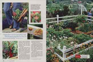 Better Homes & Gardens July 2007 Magazine Article: Page 186