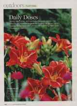 Better Homes & Gardens August 2007 Magazine Article: Daily Doses