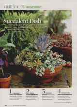 Better Homes & Gardens August 2007 Magazine Article: Succulent Dish