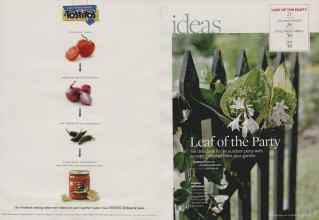 Better Homes & Gardens August 2007 Magazine Article: Page 20