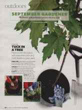 Better Homes & Gardens September 2007 Magazine Article: TUCK IN A TREE