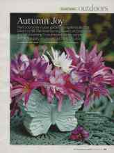 Better Homes & Gardens September 2007 Magazine Article: Autumn Joy