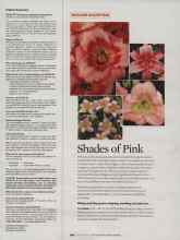 Better Homes & Gardens September 2007 Magazine Article: Shades of Pink