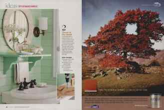 Better Homes & Gardens September 2007 Magazine Article: Page 46