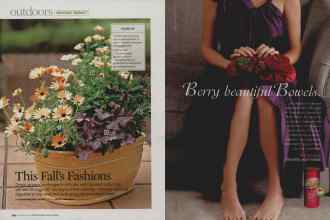 Better Homes & Gardens September 2007 Magazine Article: Page 154