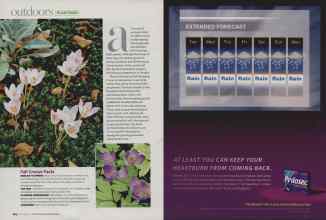 Better Homes & Gardens September 2007 Magazine Article: Page 164