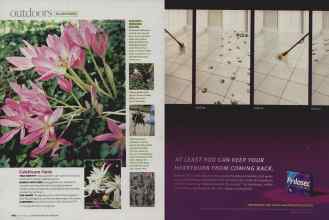 Better Homes & Gardens September 2007 Magazine Article: Page 166