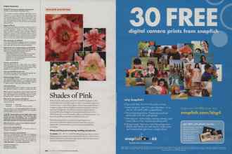 Better Homes & Gardens September 2007 Magazine Article: Page 192