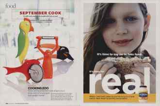 Better Homes & Gardens September 2007 Magazine Article: Page 262