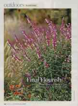 Better Homes & Gardens October 2007 Magazine Article: Final Flourish