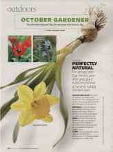 Better Homes & Gardens October 2007 Magazine Article: PERFECTLY NATURAL