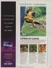 Better Homes & Gardens October 2007 Magazine Article: LAYERS OF LEAVES
