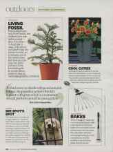 Better Homes & Gardens October 2007 Magazine Article: RAKES