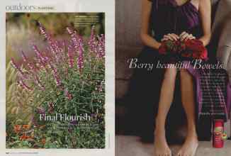 Better Homes & Gardens October 2007 Magazine Article: Page 140